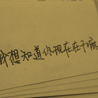 睡觉王