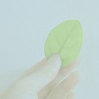 星月茶话