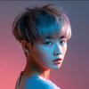暗影藏
