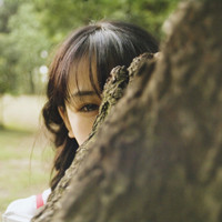 节奏风暴